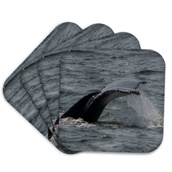 3drose, Whale Diving, Set of 4 Coasters - Soft