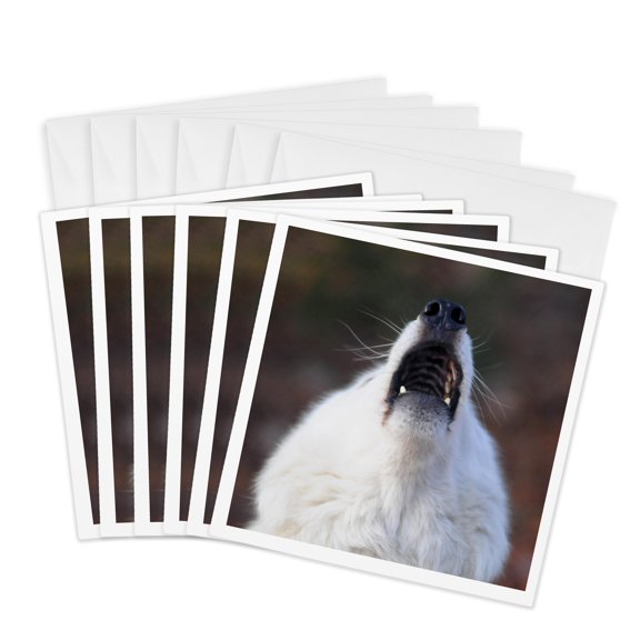 3drose, White Arctic Wolf, Closeup, 6 Greeting Cards with Envelopes