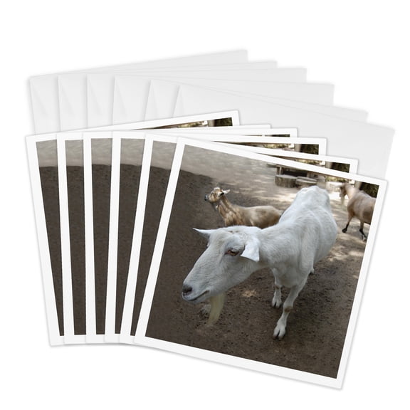 3drose, White Goat, 6 Greeting Cards with Envelopes