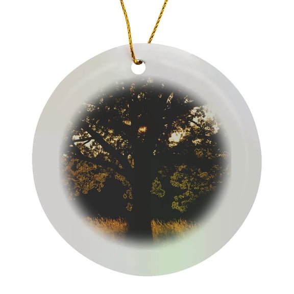3drose, White Oak Tree, Great Smoky Mountains, Tennessee, Usa - Us43 Aje0293 - Adam Jones, Circle Porcelain Ornament