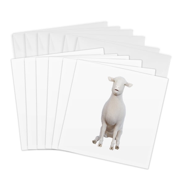 3drose, White Sheep Sitting down and Looking Forward, 6 Greeting Cards with Envelopes