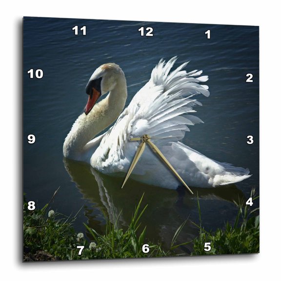 3drose, White Swan Sitting in the Water and Stretching Its Wings, 15x15 Wall Clock