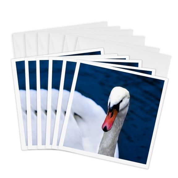 3drose, White Swan in the Blue Water, 6 Greeting Cards with Envelopes