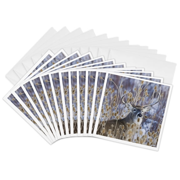 3drose, White-tail Deer Buck., 12 Greeting Cards with Envelopes