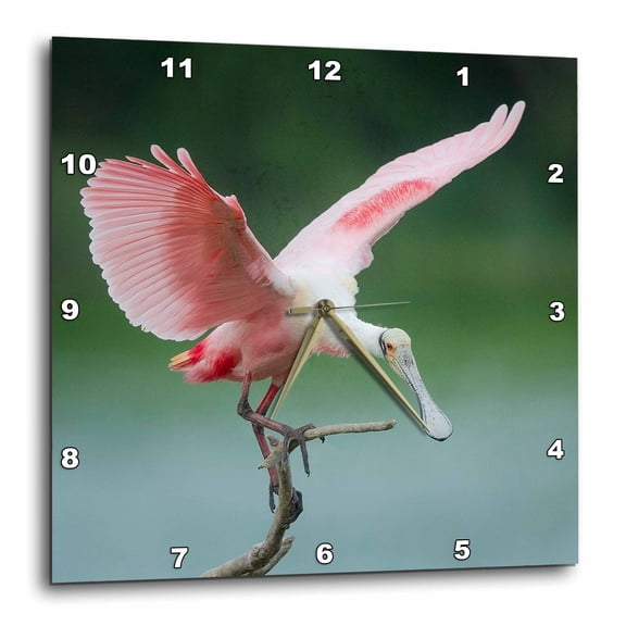 3drose, Whooping Crane Hunting for Food, Texas Coast., 10x10 Wall Clock