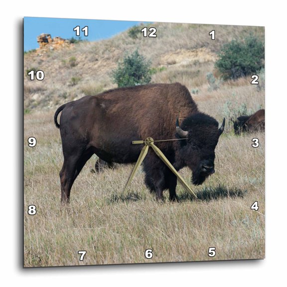 3drose, Wild Buffaloes in the Roosevelt National Park, North Dakota, Usa, 10x10 Wall Clock
