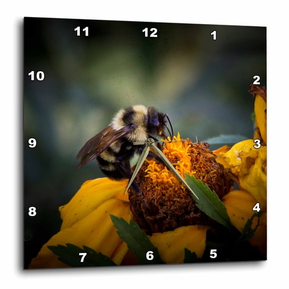 3drose, Wild Flower with Bumble Bee Helping One Another - Close up Image with Detail for Home Décor, 13x13 Wall Clock