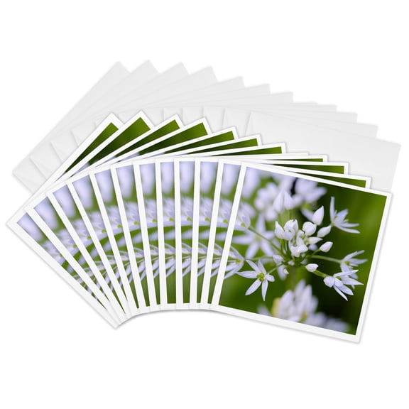 3drose, Wild Garlic. Germany, 12 Greeting Cards with Envelopes