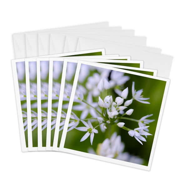 3drose, Wild Garlic. Germany, 6 Greeting Cards with Envelopes