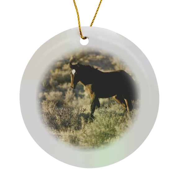 3drose, Wild Mustang Horses, Spring Mountain Range, Nevada - Us29 Mpr0016 - Maresa Pryor, Circle Porcelain Ornament