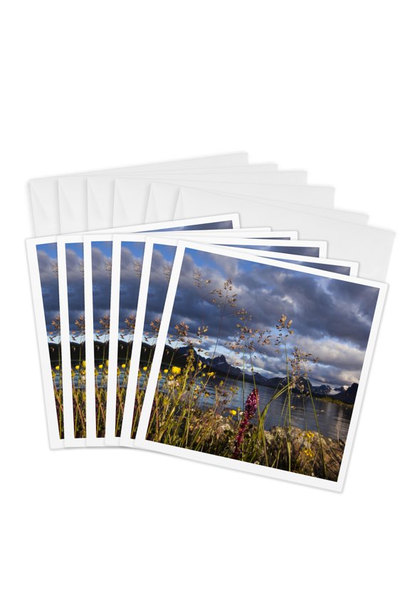 , Wildflowers, Jasper National Park, Alberta, Canada - Cn01 Awo0009 - Art Wolfe, 6 Greeting Cards with Envelopes