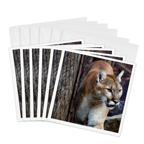 3drose, Wildlifes Beauty a Cougar Leaning Against a Tree, 6 Greeting Cards with Envelopes