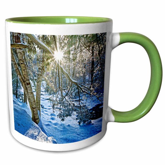 3drose, Winter Forest and Stream in Snow, 11oz Two-tone Green Mug