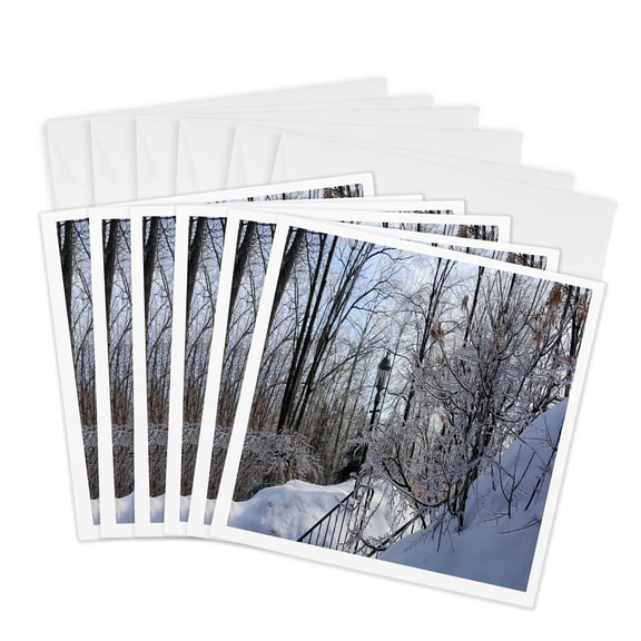 3drose, Winter Ice Storm Branches Ice Coated, 6 Greeting Cards with Envelopes
