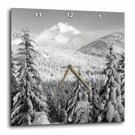 3drose, Winter, Mt Hood National Forest, Oregon, Usa - Us38 Swe0039 - Stuart Westmorland, 15x15 Wall Clock