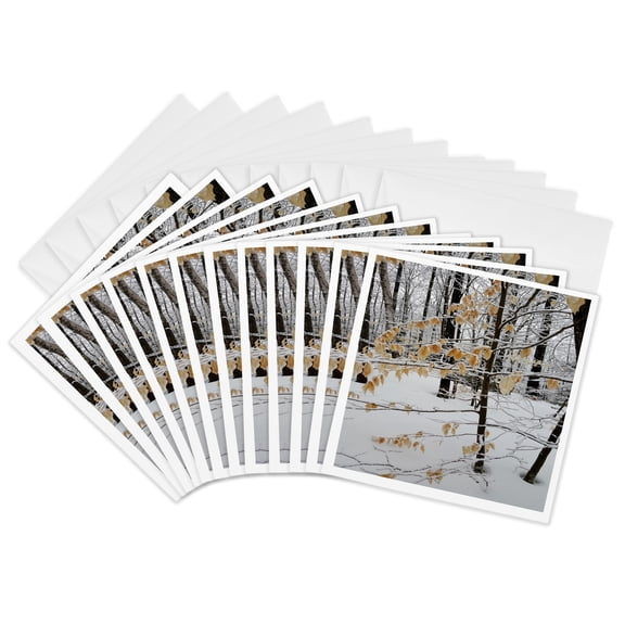 3drose, Winter Photography Pretty Scene, 12 Greeting Cards with Envelopes