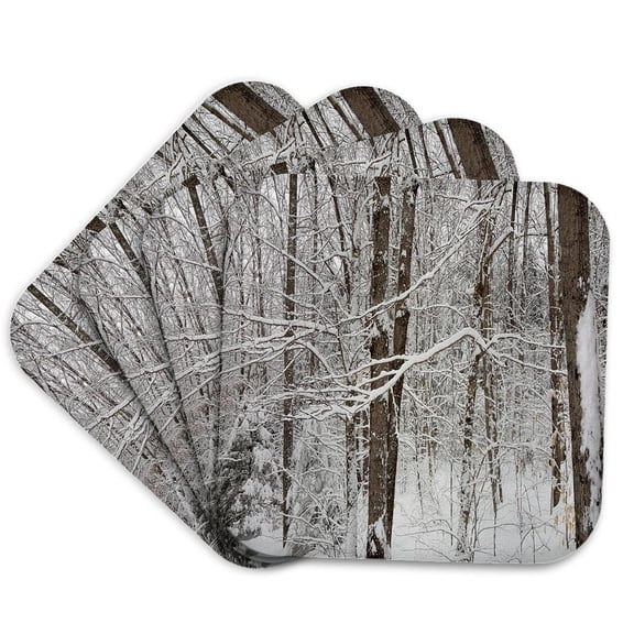 3drose, Winter Scenic Photo, Set of 4 Coasters - Soft