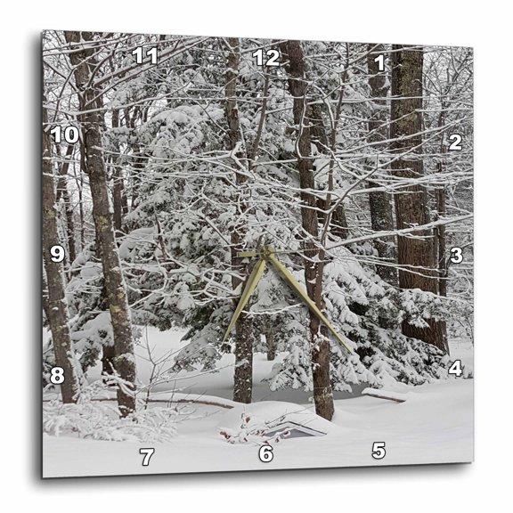 3drose, Winter Weather Scene, 10x10 Wall Clock