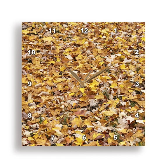 3drose, Wisconsin, Chequamegon-nicolet National Forest. Autumn Maple Trees., 13x13 Wall Clock