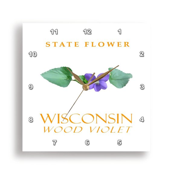 3drose, Wisconsin Territory Flower the Wood Violet, 10x10 Wall Clock