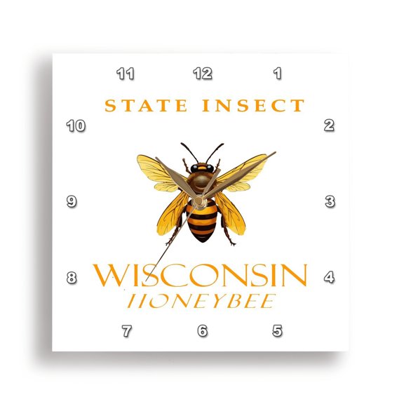 3drose, Wisconsin Territory Insect the Honeybee, 13x13 Wall Clock