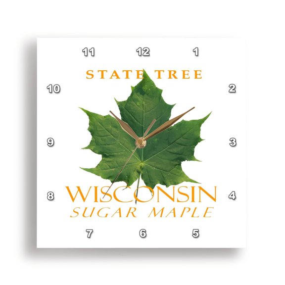 3drose, Wisconsin Territory Tree the Sugar Maple, 10x10 Wall Clock