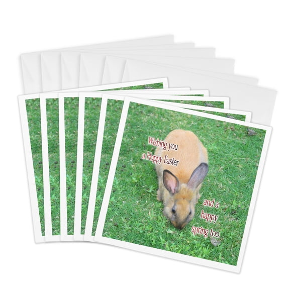 3drose, Wishing You a Hoppy Easter and a Happy Spring Too Kids Easter Greeting, 6 Greeting Cards with Envelopes
