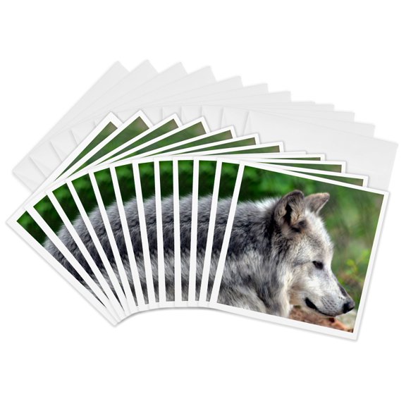 3drose, Wolf, 12 Greeting Cards with Envelopes