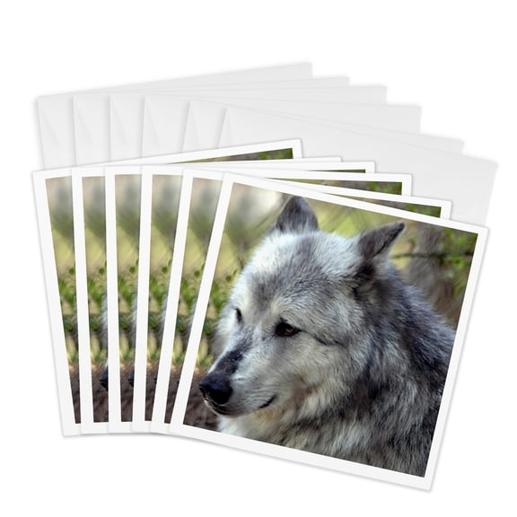 3drose, Wolf, 6 Greeting Cards with Envelopes