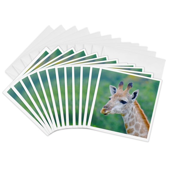 3drose, Wonderful and Cute Giraffe Animal, 12 Greeting Cards with Envelopes
