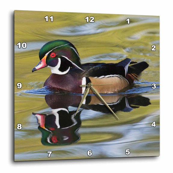 3drose, Wood Duck Drake Swimming, 13x13 Wall Clock