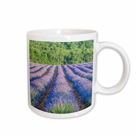 3drose, Woodland Crocus in the Background Winter Aconite, Germany., 11oz Mug
