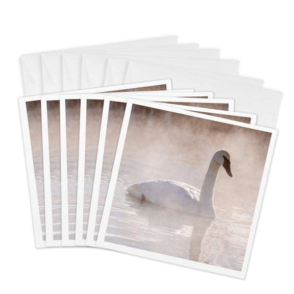 3drose, Wyoming, Jackson Fish Hatchery. Trumpeter Swan in Winter., 6 Greeting Cards with Envelopes