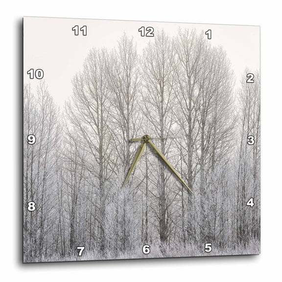 3drose, Wyoming, Jackson. Grand Teton National Park, Oxbow Bend Foggy Morning, 15x15 Wall Clock