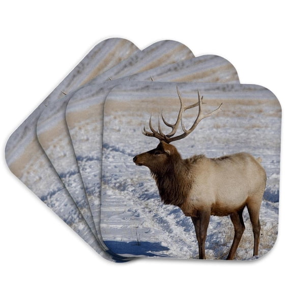 3drose, Wyoming, Jackson Hole, Elk Refuge, Elk - Us51 Cmi0048 - Cindy Miller Hopkins, Set of 4 Coasters - Soft