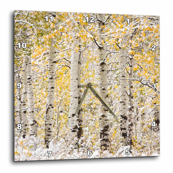 3drose, Wyoming. Yellow Aspens Covered in Snow., 15x15 Wall Clock