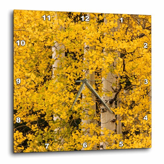 3drose, Yellow Autumn Aspen Trees, Uncompahgre Nf, Colorado, 10x10 Wall Clock