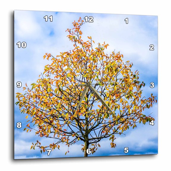 3drose, Yellow Crab Apple Tree Against Stormy Sky, 10x10 Wall Clock