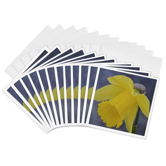 3drose, Yellow Daffodil Flower- Spring Photography, 12 Greeting Cards with Envelopes