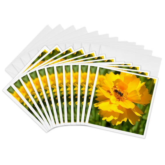 3drose, Yellow Flower with Bee, 12 Greeting Cards with Envelopes
