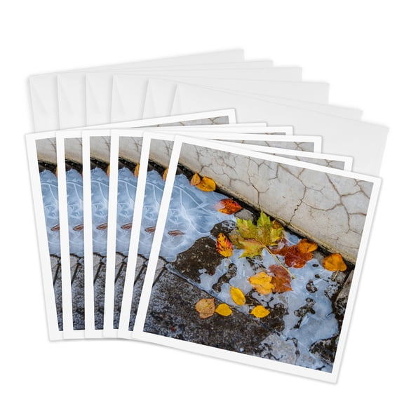 3drose, Yellow Leave in a Frozen Puddle. Autumn Decay, 6 Greeting Cards with Envelopes
