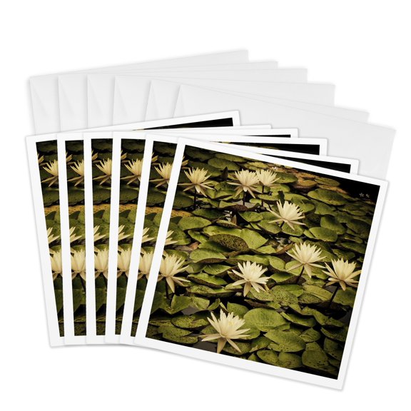 3drose, Yellow Lotus Flowers, 6 Greeting Cards with Envelopes