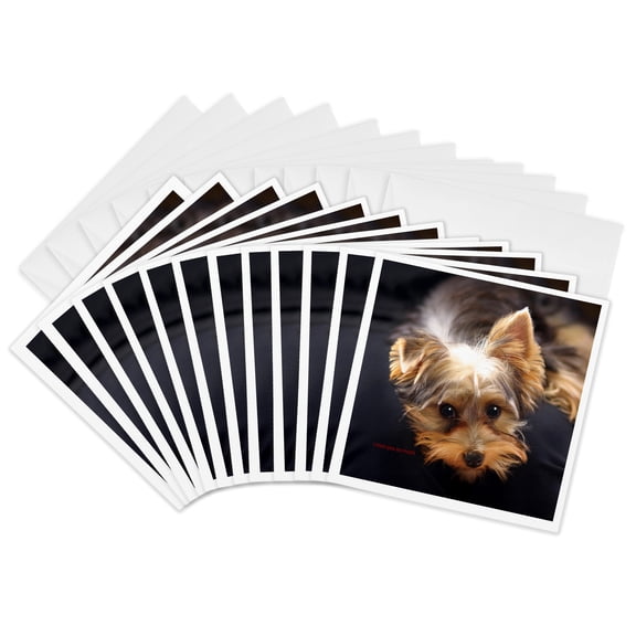 3drose, Yorkshire Terrier Missing His Human, 12 Greeting Cards with Envelopes