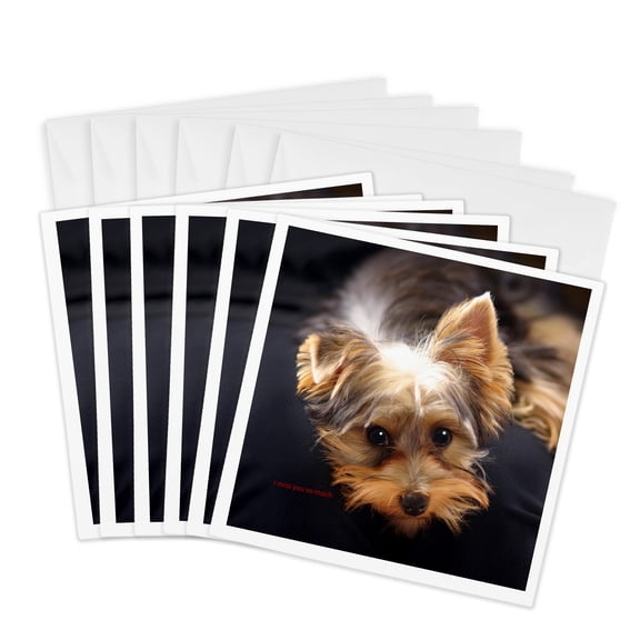 3drose, Yorkshire Terrier Missing His Human, 6 Greeting Cards with Envelopes