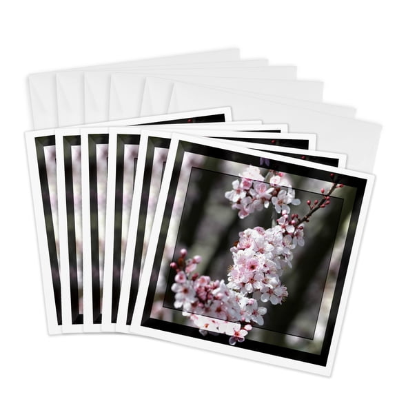 3drose, Zen Cherry Blossom Flowers- Spring Photography, 6 Greeting Cards with Envelopes