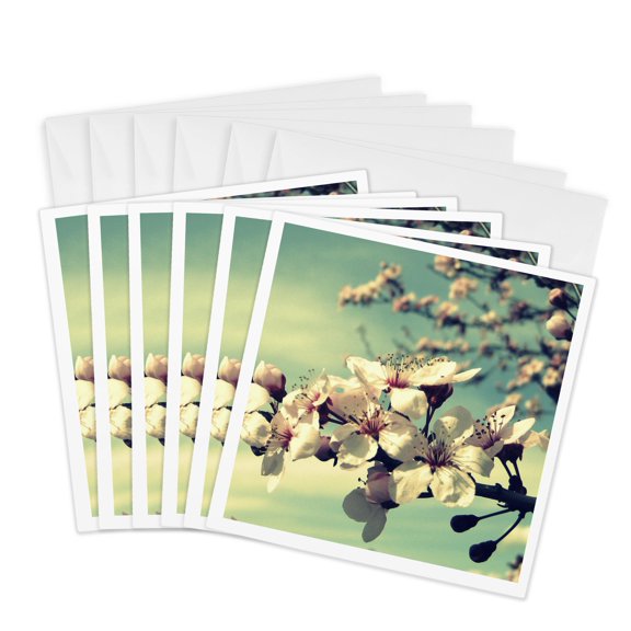 3drose, Zen Flowering Tree- Cherry Blossoms- Flowers- Photography, 6 Greeting Cards with Envelopes