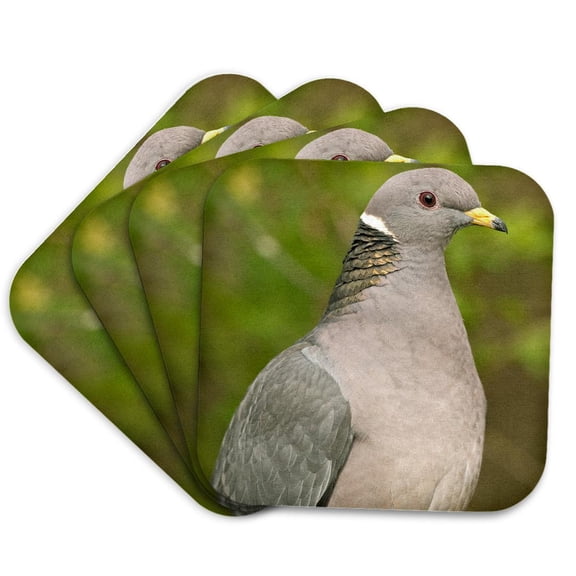 3drose, a Band-tailed Pigeon, Bird - Na02 Rbr0000 - Rick A. Brown, Set of 4 Coasters - Cork