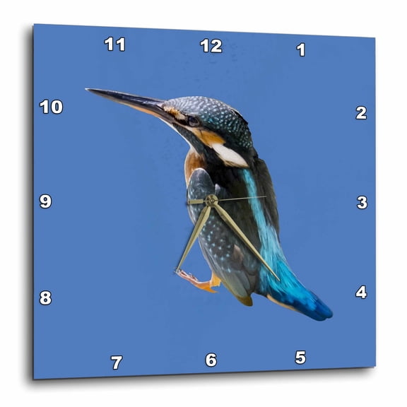 3drose, a Beautiful Diving Water Bird Vector, 10x10 Wall Clock