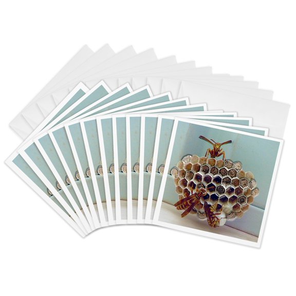 3drose, a Bees Nest up Close with Three Bees Working on It with a Mint Colored Backdrop, 12 Greeting Cards with Envelopes