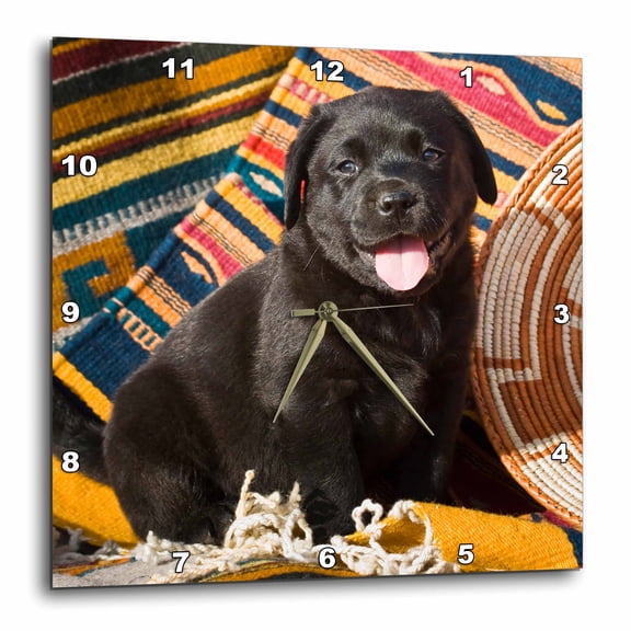 3drose, a Black Labrador Retriever Puppy Dog - Na02 Zmu0153 - Zandria Muench Beraldo, 13x13 Wall Clock